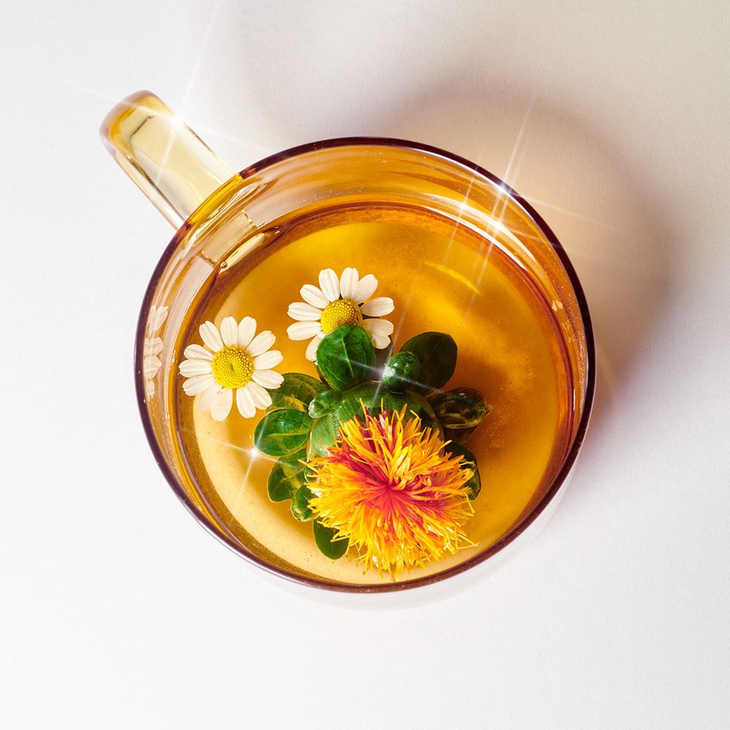 Triple Mint & Cacao Infusion - Image 2