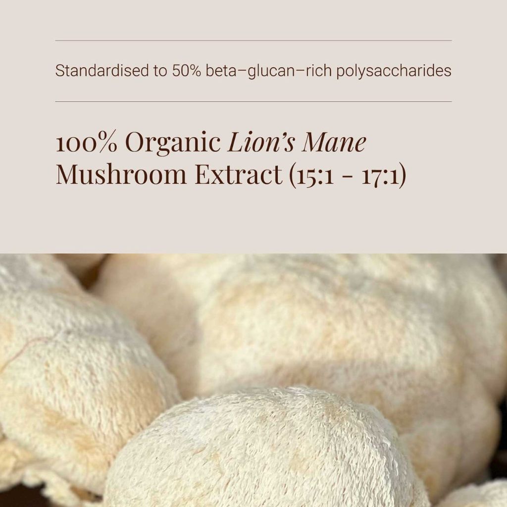 Lion's Mane Extract Tincture - Image 4