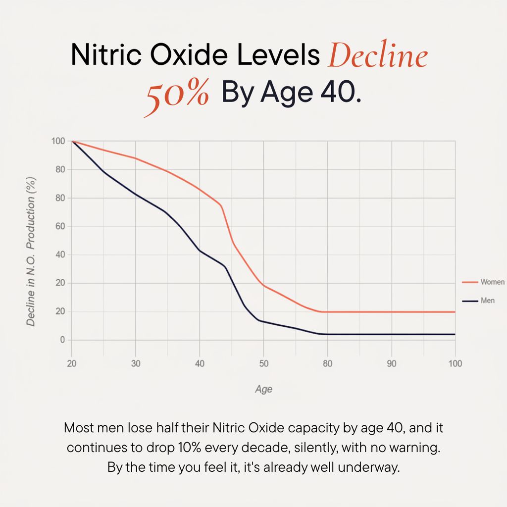 Nitric Oxide Support - Image 5