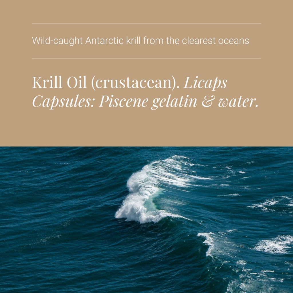 Krill Oil - Image 4