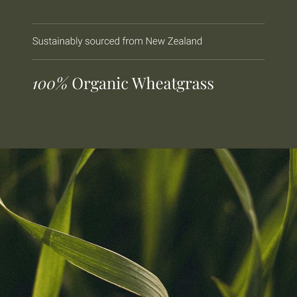 Wheatgrass Powder - Image 4