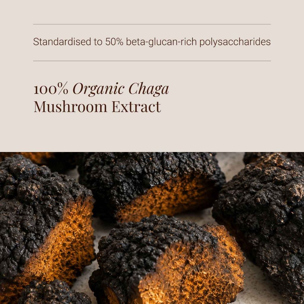 Chaga Mushroom Extract - Image 4