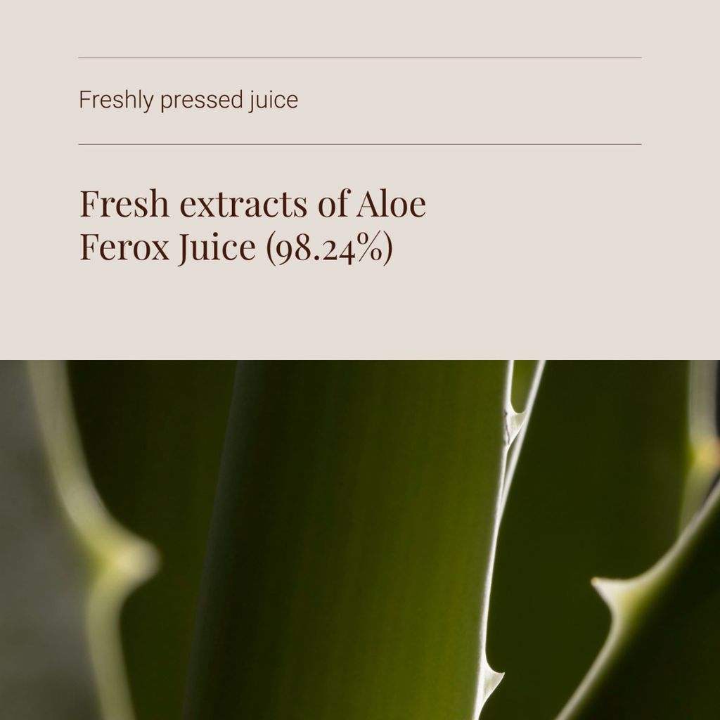 Aloe Ferox Juice - Image 4