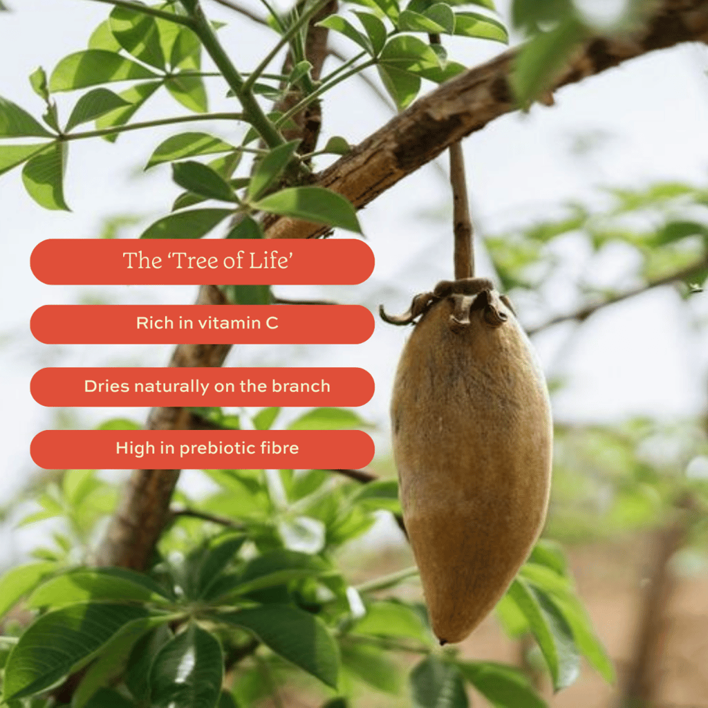 Aduna Baobab Superfruit Powder - Image 3
