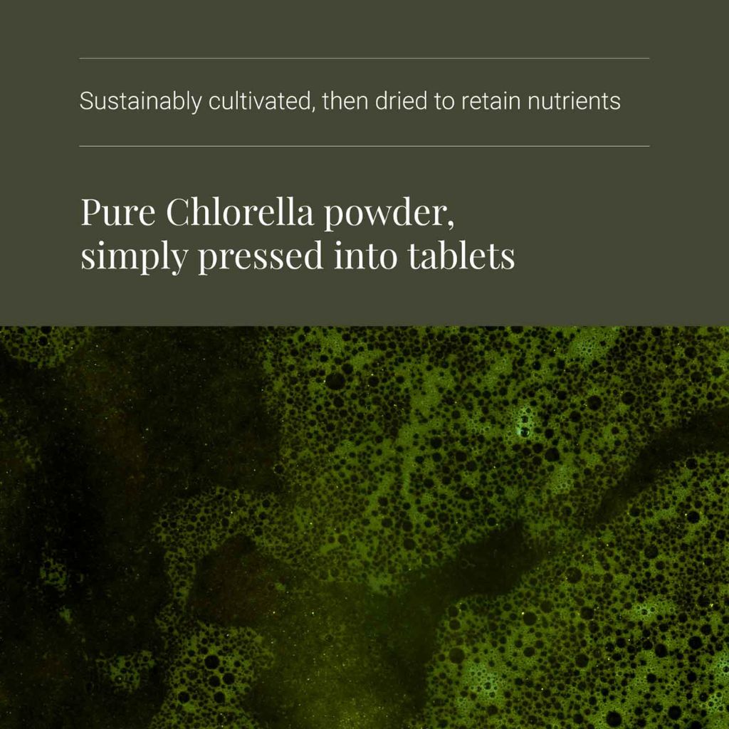 Chlorella - Image 4