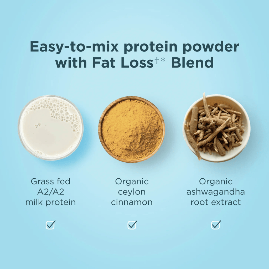 Whey Protein + Fat Loss Blend - Cinnamon Vanilla - Image 4