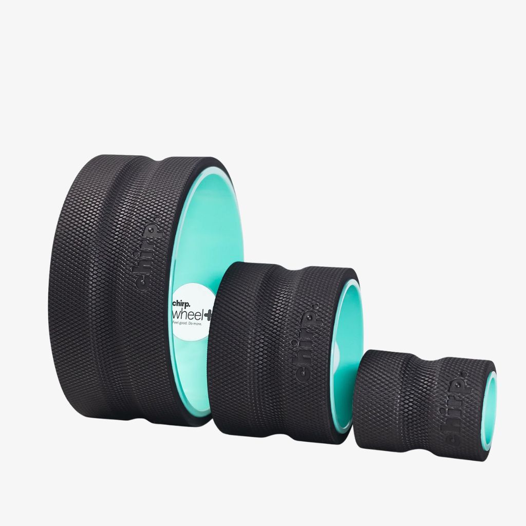 Chirp Wheel+ 3-Pack (10" / 6" / 4")
