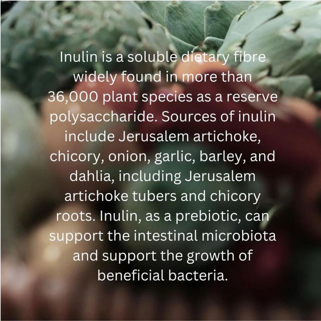 Daily Biotic + Gut Support - Image 2