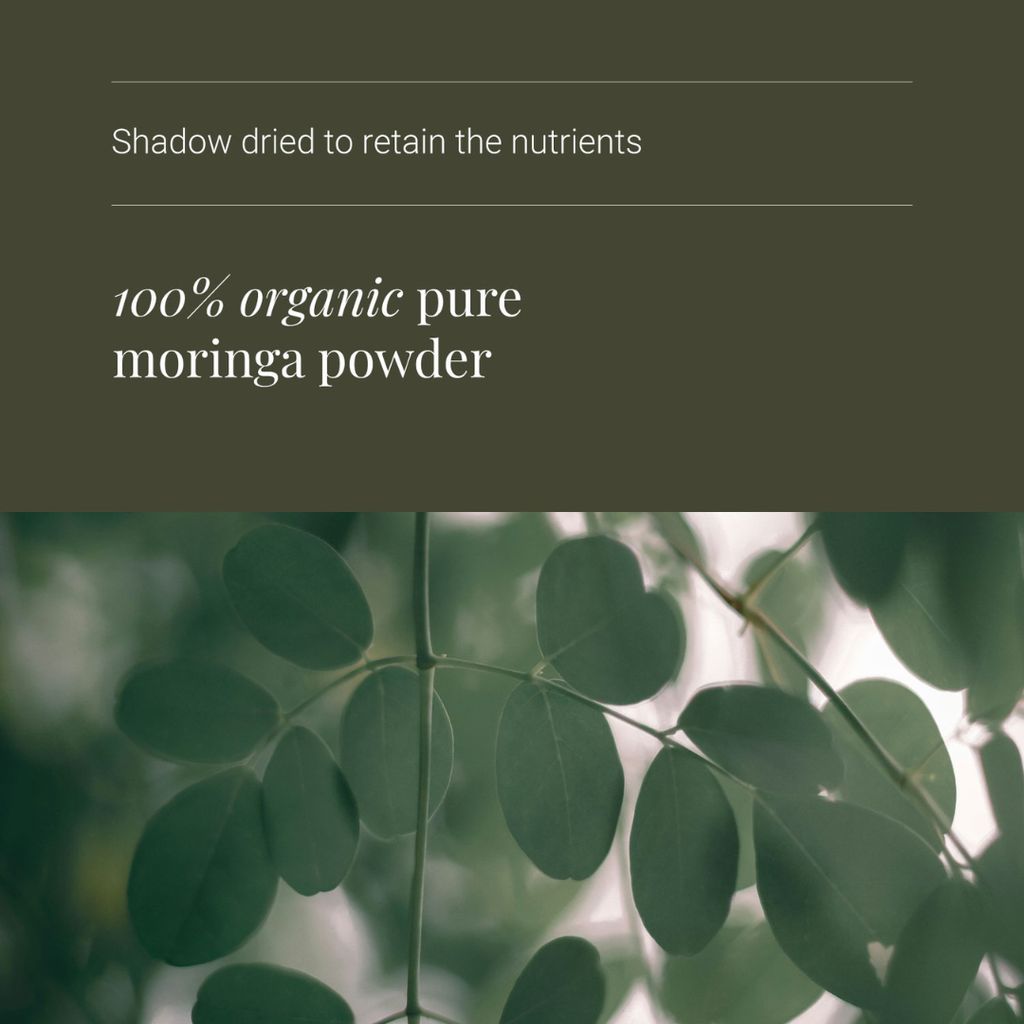 Moringa Leaf Powder - Image 4