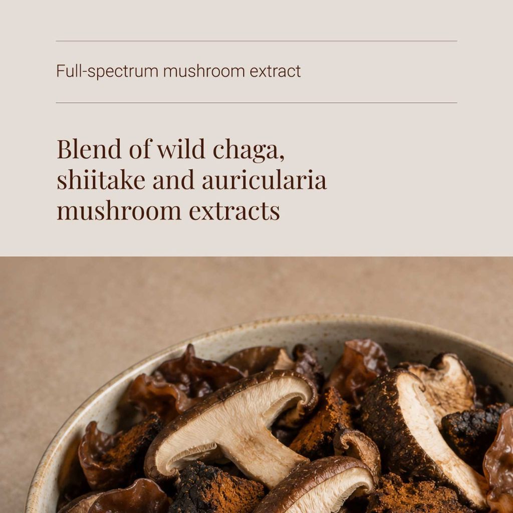 Mushroom Cacao - Image 4