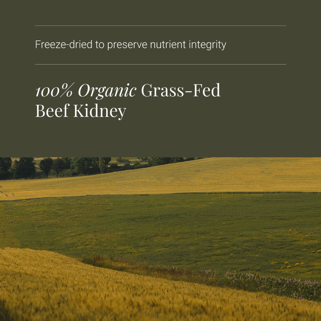Beef Kidney - Image 4