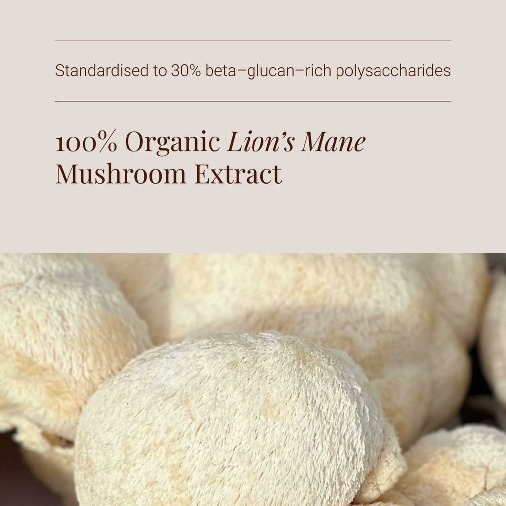Lion's Mane Mushroom Extract Powder - Image 4