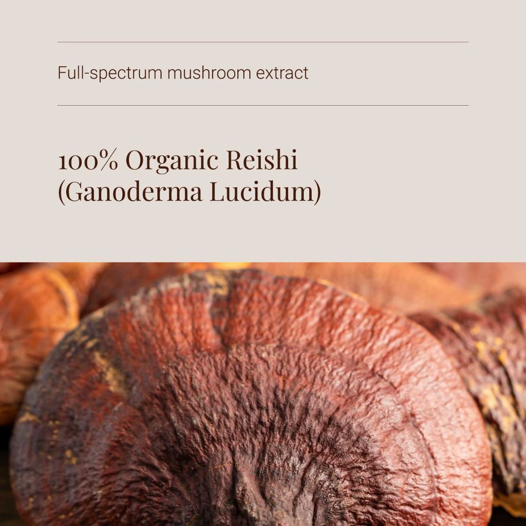Reishi Extract - Image 4