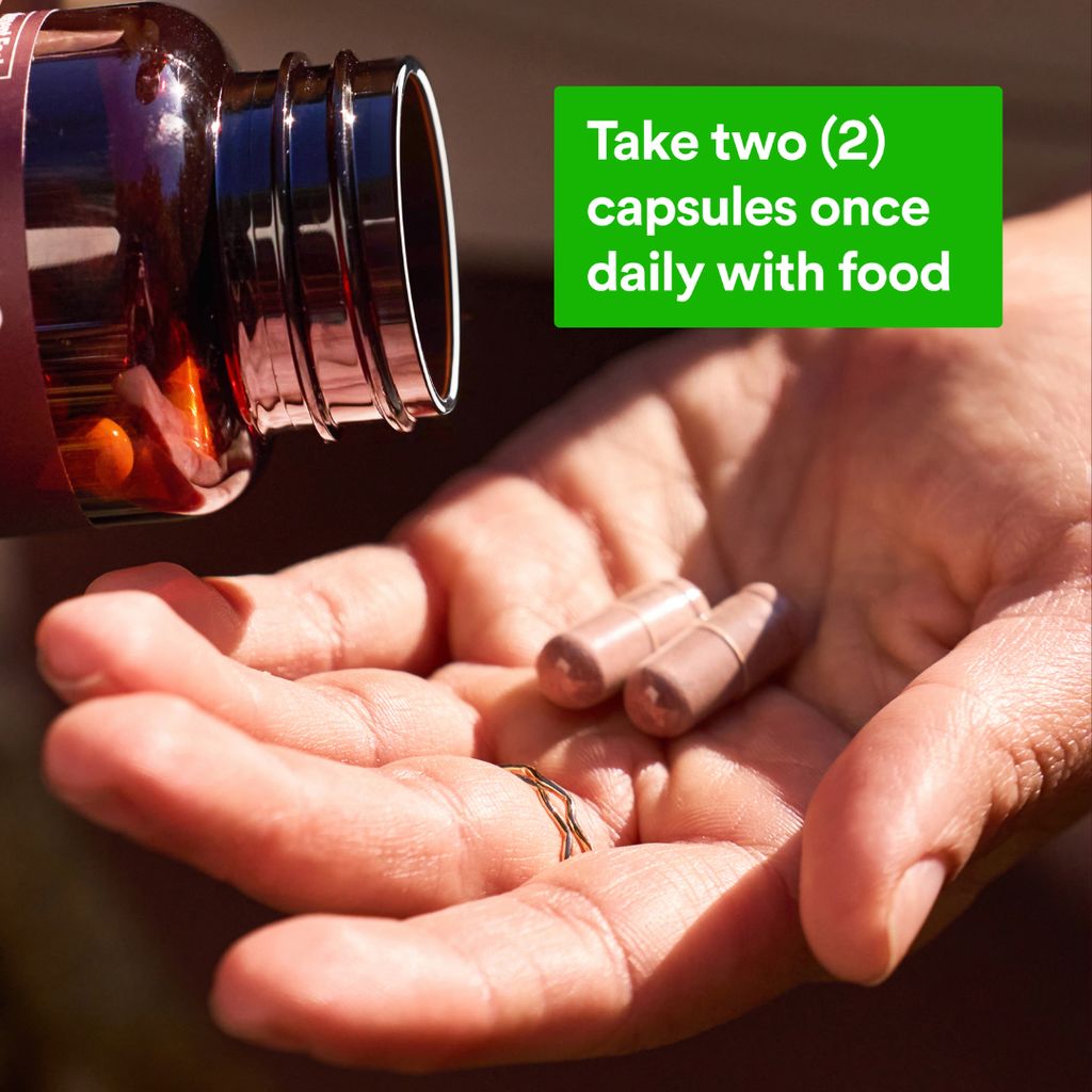 Cocoa Flavanols Capsules 500mg - Image 3