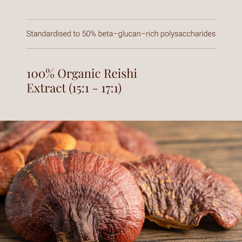 Reishi Extract Tincture - Image 4