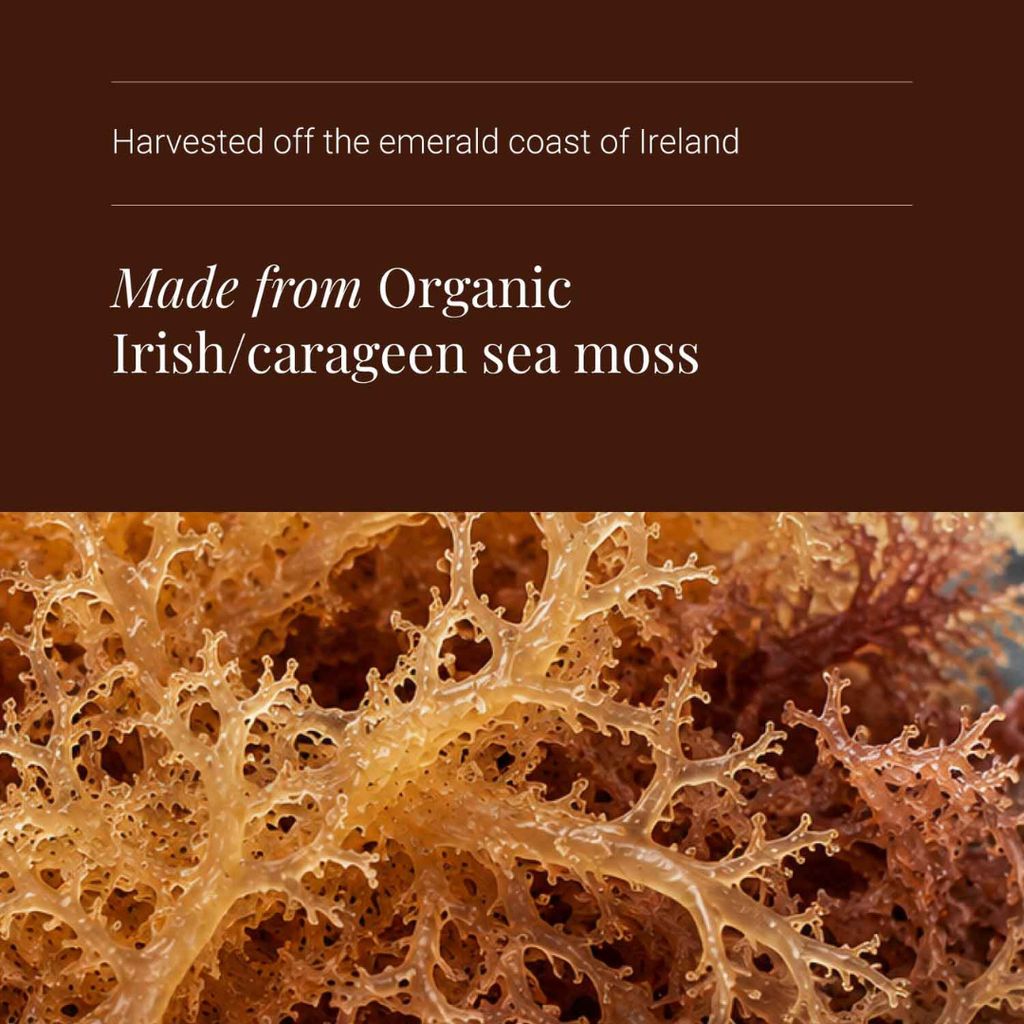 Irish Sea Moss - Image 4