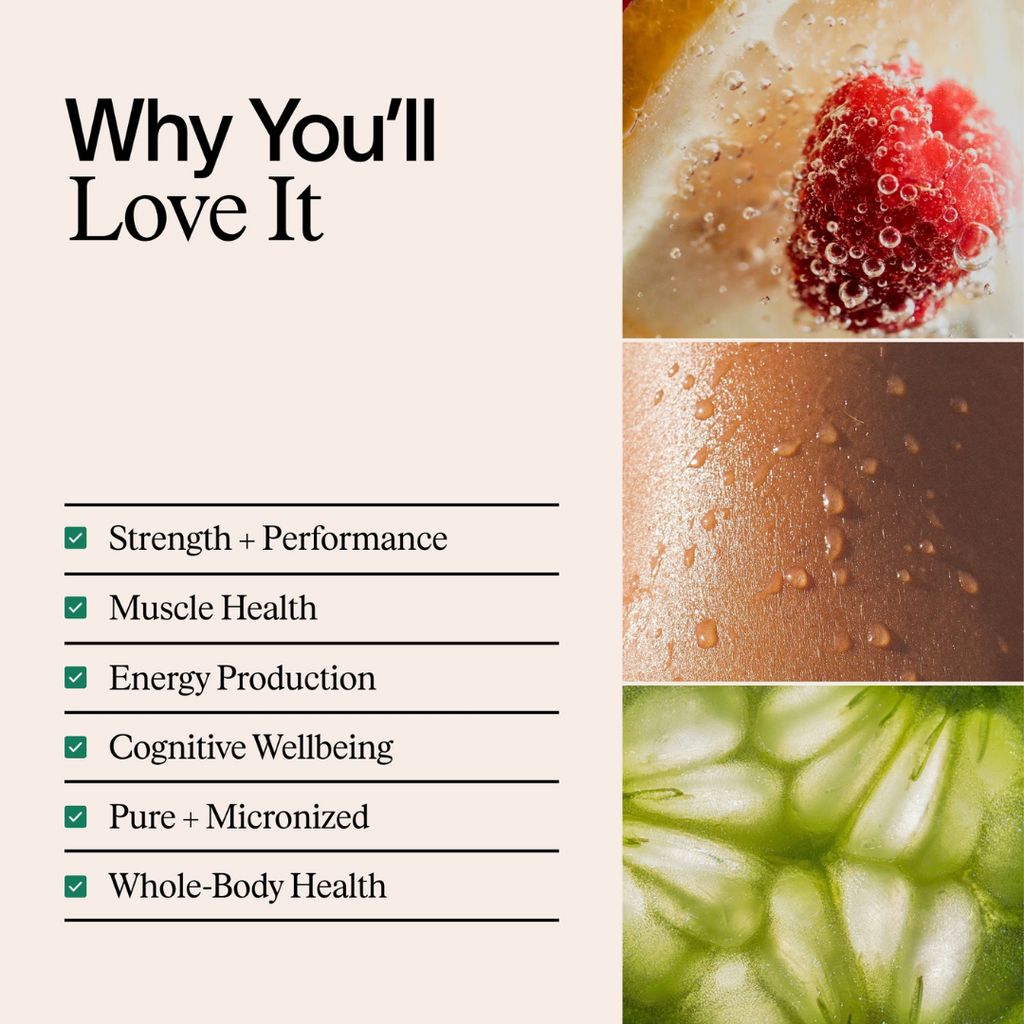 Essential Creatine - Image 3
