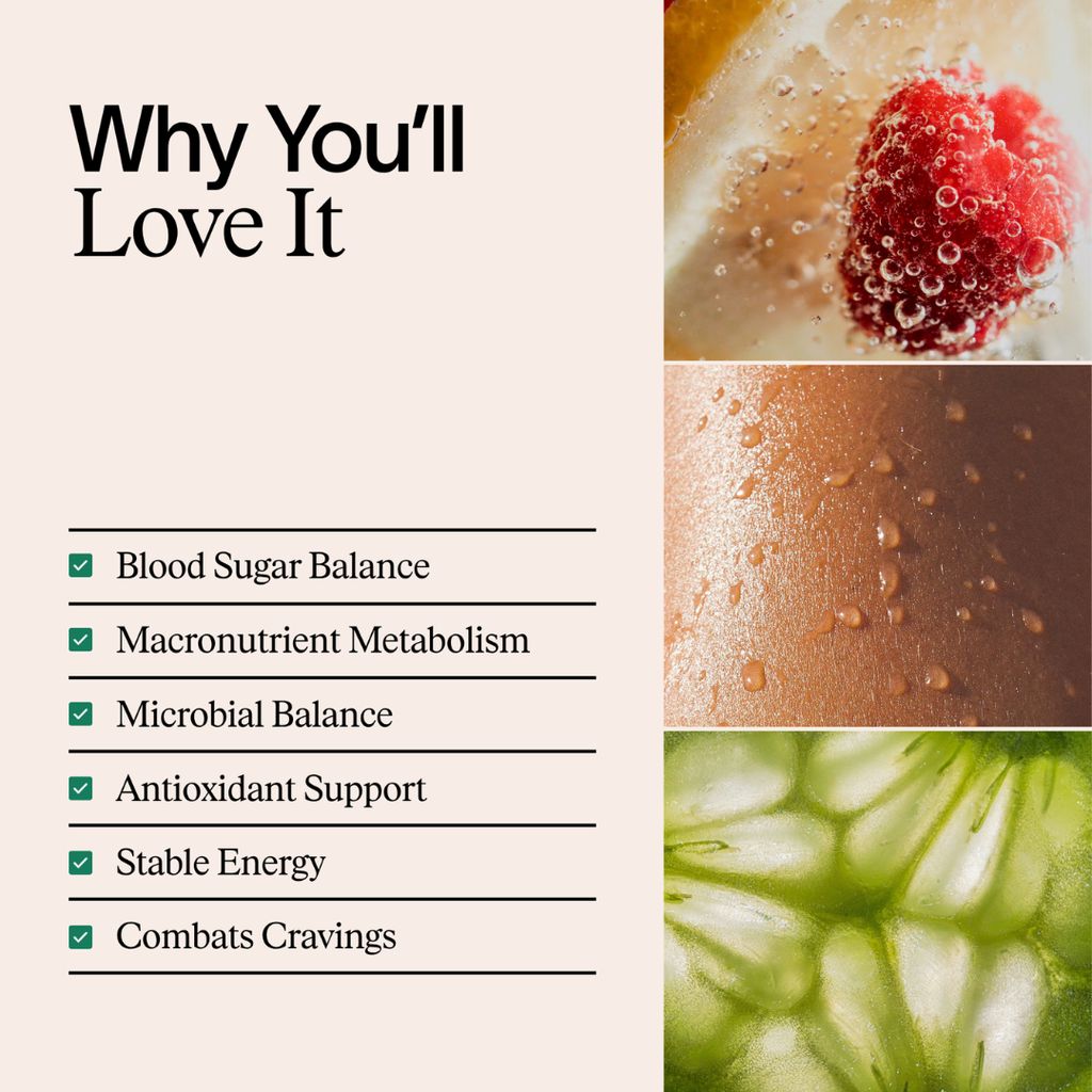 Metabolic Fix - Image 3