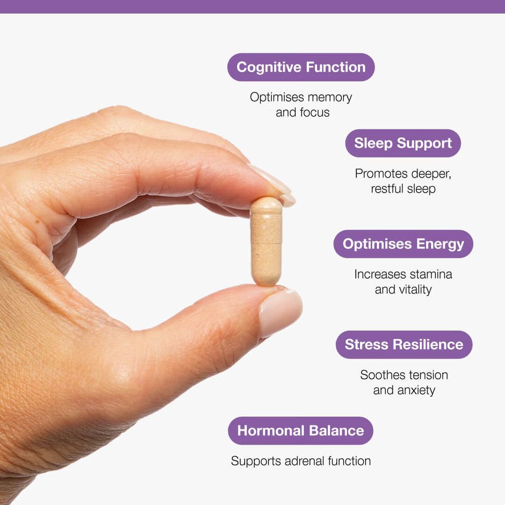 Ashwagandha 500mg - Image 3