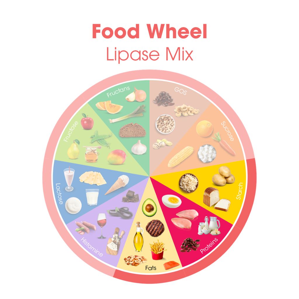 Lipase Mix - Image 5