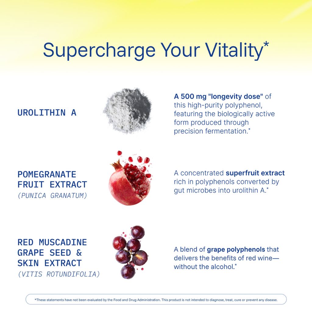 Full Spectrum Urolithin A - Image 4