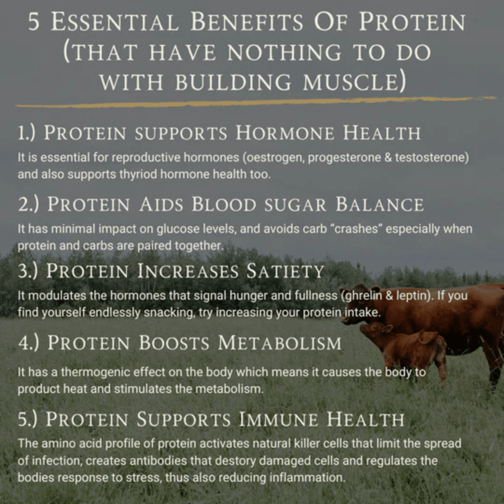 Grass-Fed Beef Protein Raw Cacao & Maple Sea Salt - Image 4
