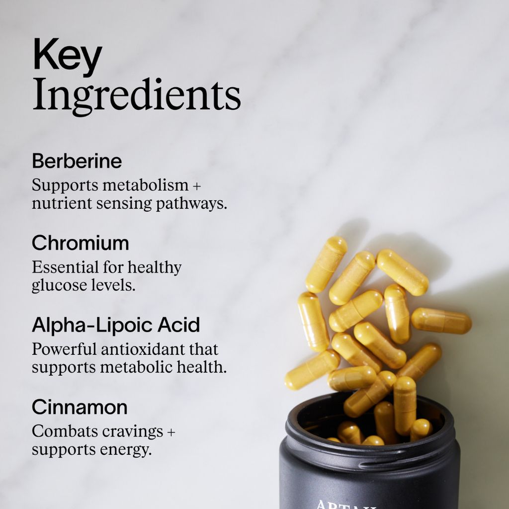 Metabolic Fix - Image 4