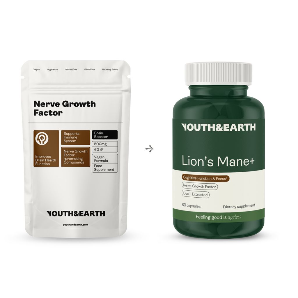 Lion’s Mane+ - Image 4