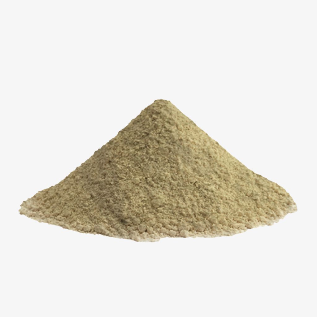Nopal Cactus | Green Leaf Powder - Image 3