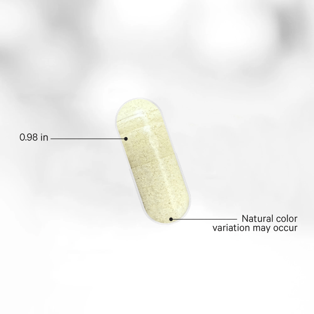 Hair Skin Nails Vitamins Platinum - Image 3