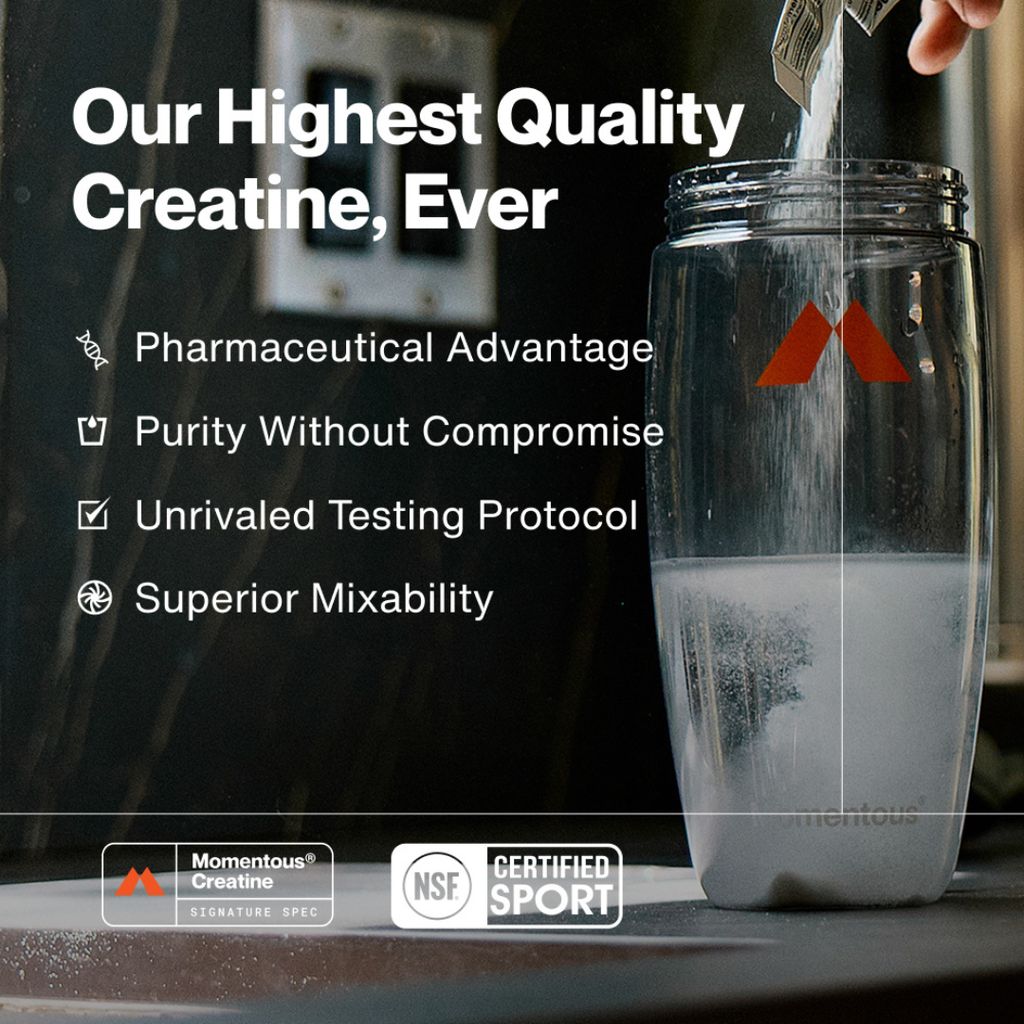 Creatine 15-Travel Packs - Lemon - Image 11