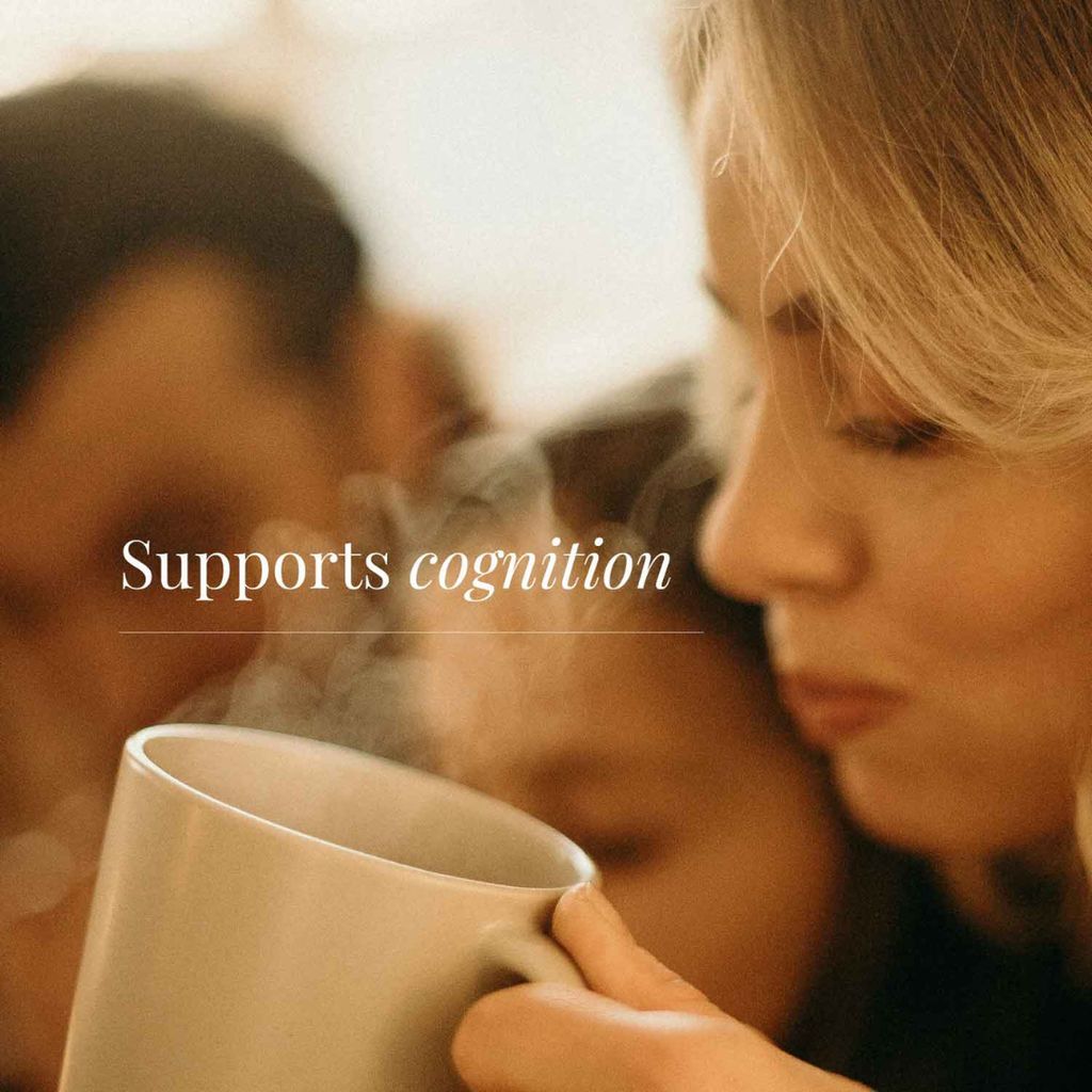 Decaffeinated Mushroom Coffee - Image 5