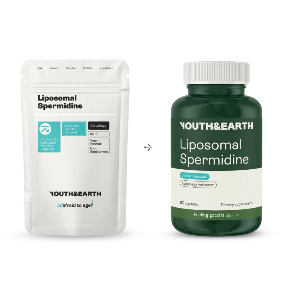Liposomal Spermidine - Image 4