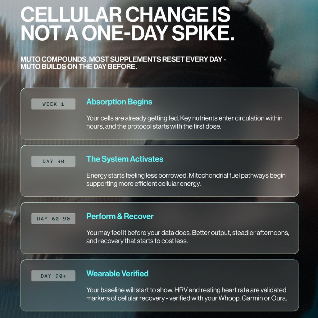 MUTO NAD+ Cellular Complex | Energy & Recovery - Image 6