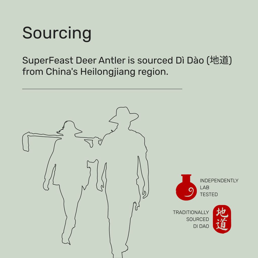 Deer Antler Velvet - Image 9