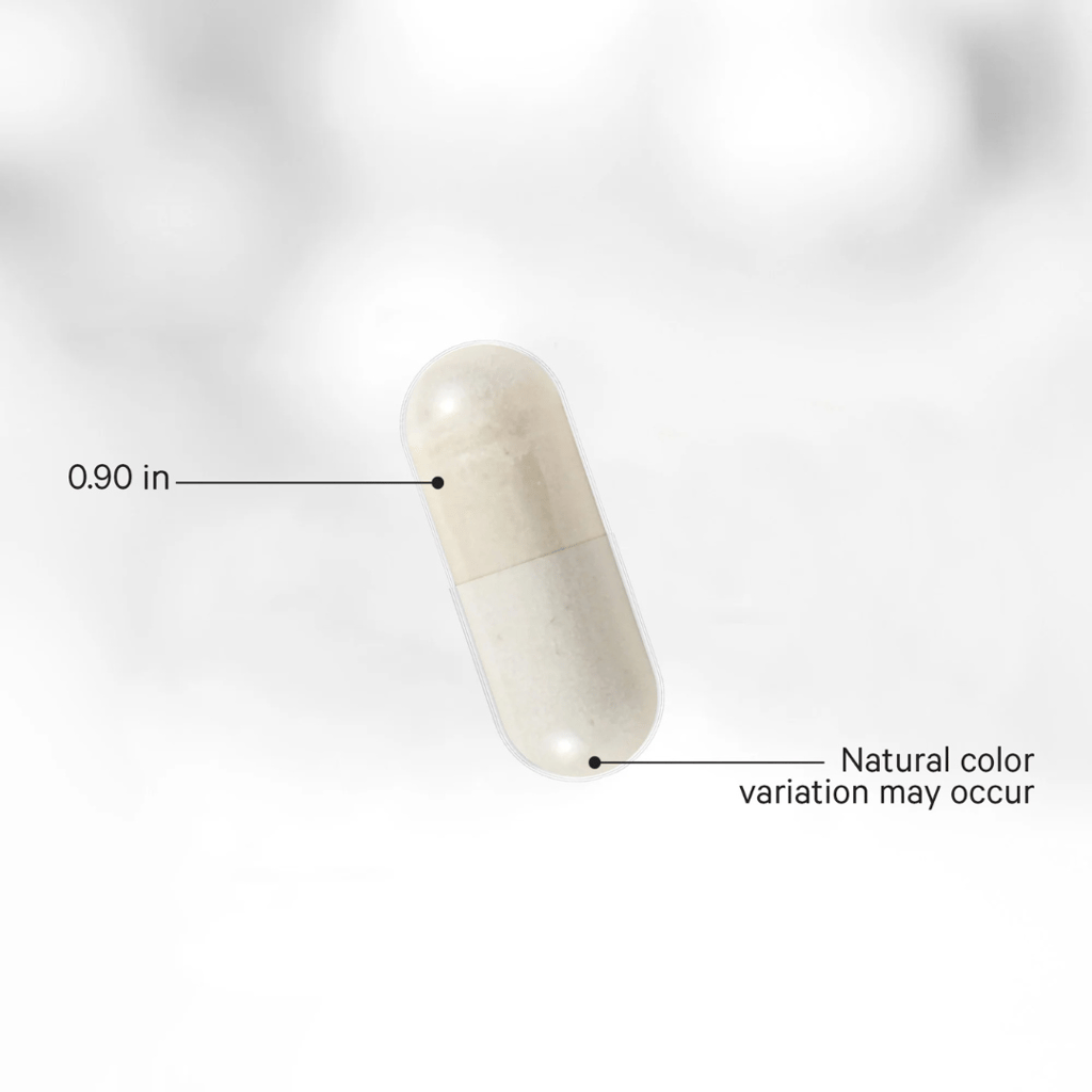 Liposomal Spermidine NAD+ - Image 3