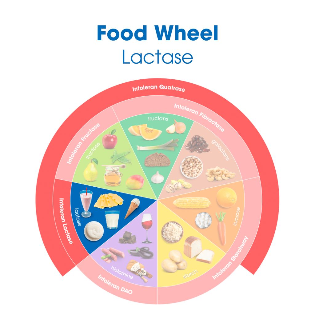 Lactase 20,000 - Image 5