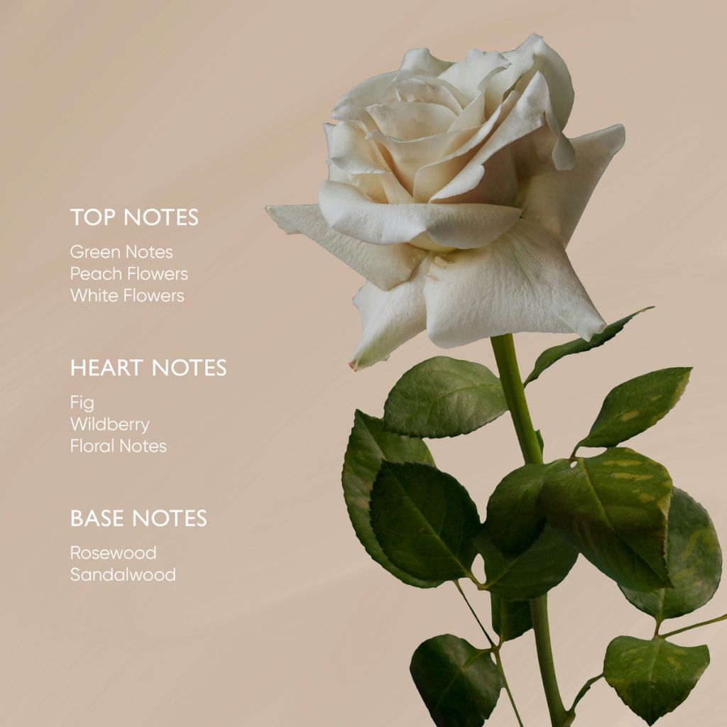 Rose Body Oil - Image 5