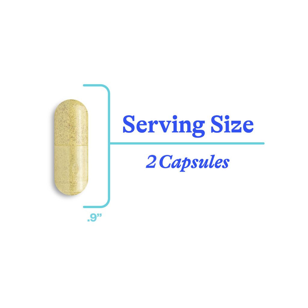 Mast Cell Nutrients - Image 5