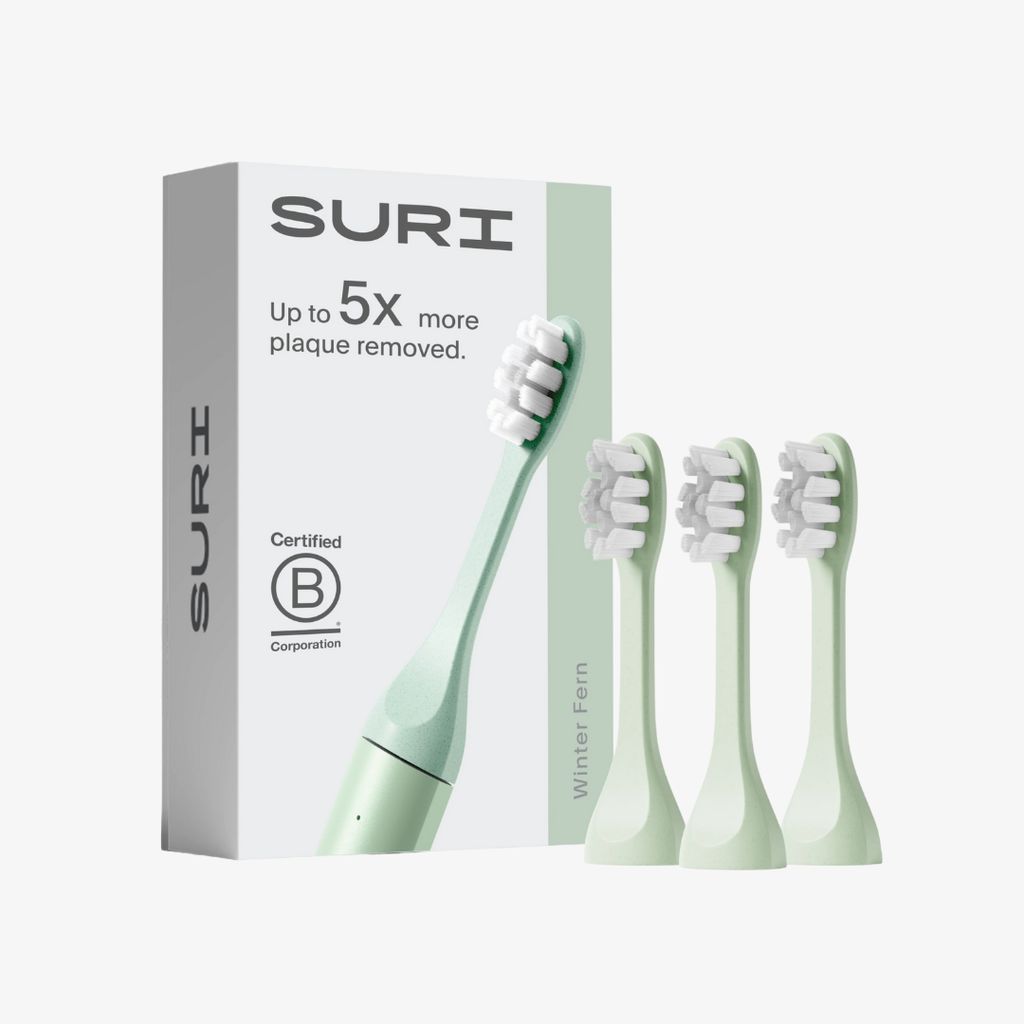 SURI Sonic Replacement Heads - Winter Fern