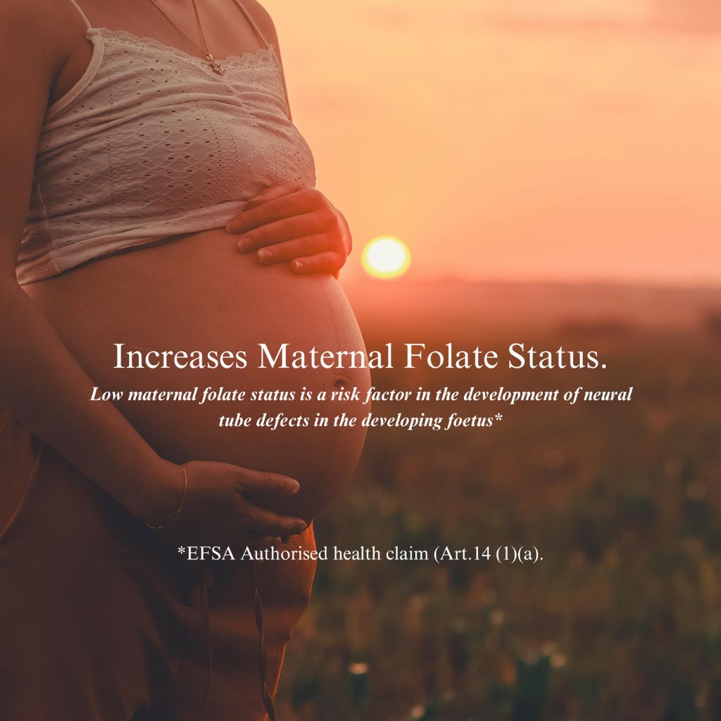 5-MTHF Methylfolate Folic Acid Drops - Image 5