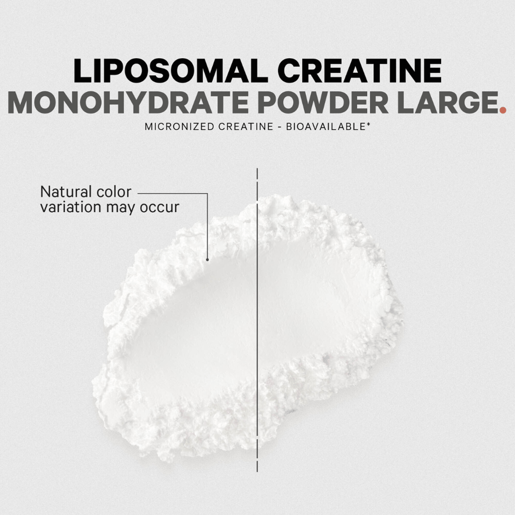 Liposomal Creatine Monohydrate Large - Image 5