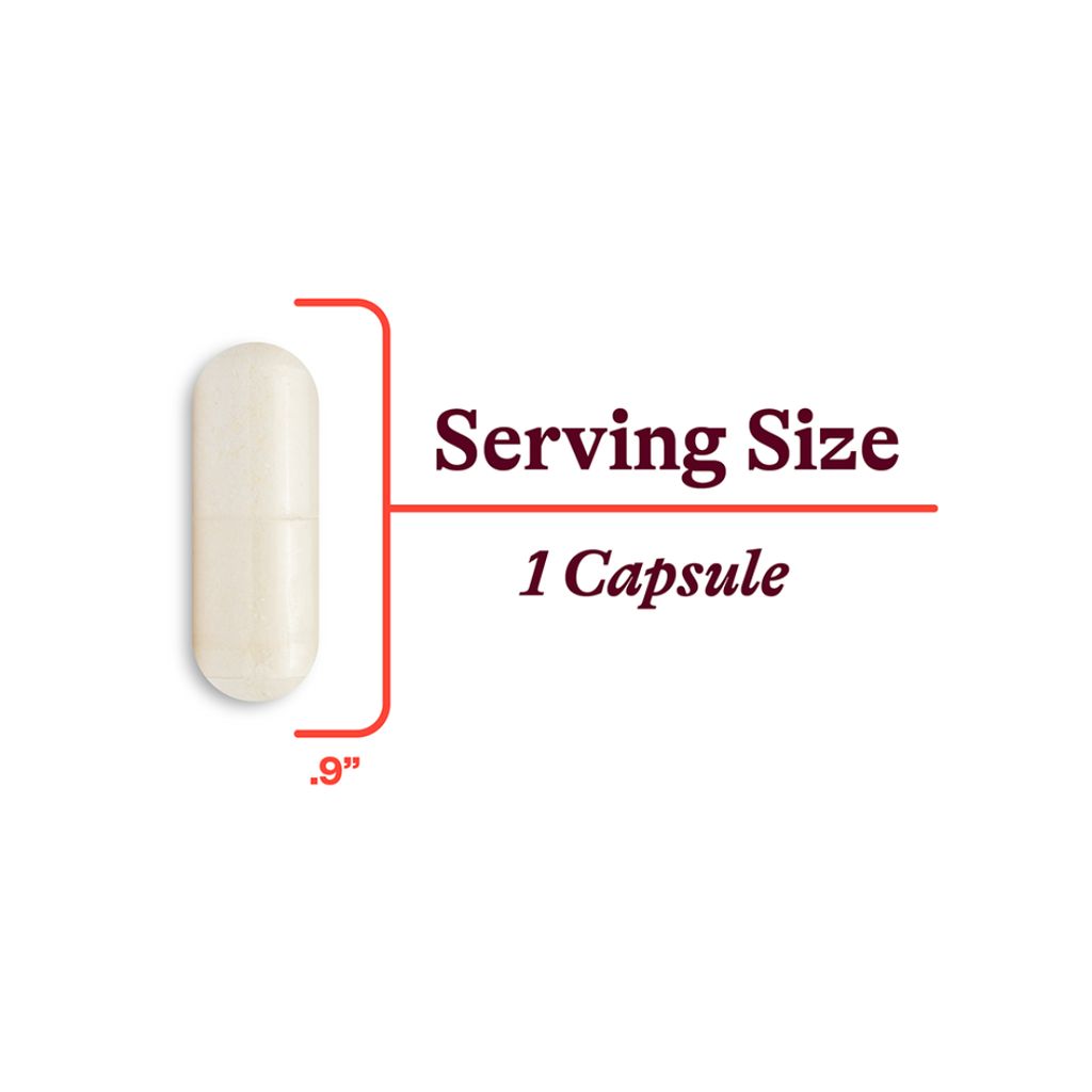 Creatine Monohydrate Capsules - Image 5