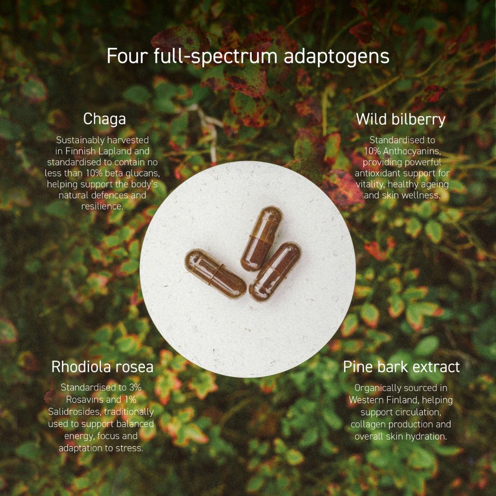 Nordic Adaptogen Supplements - Image 6