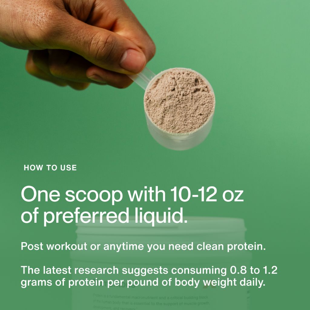 Grass-Fed Whey Protein Isolate Powder Tub - Limited Edition Mint Chocolate - Image 5