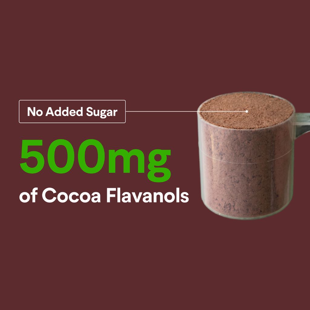 Cocoa Flavanols Powder - Image 6
