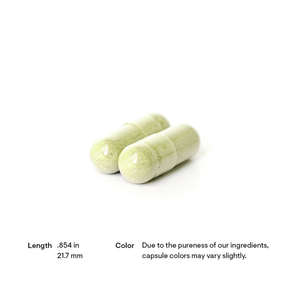 Quercetin Complex (Formerly Quercenase) - Image 4