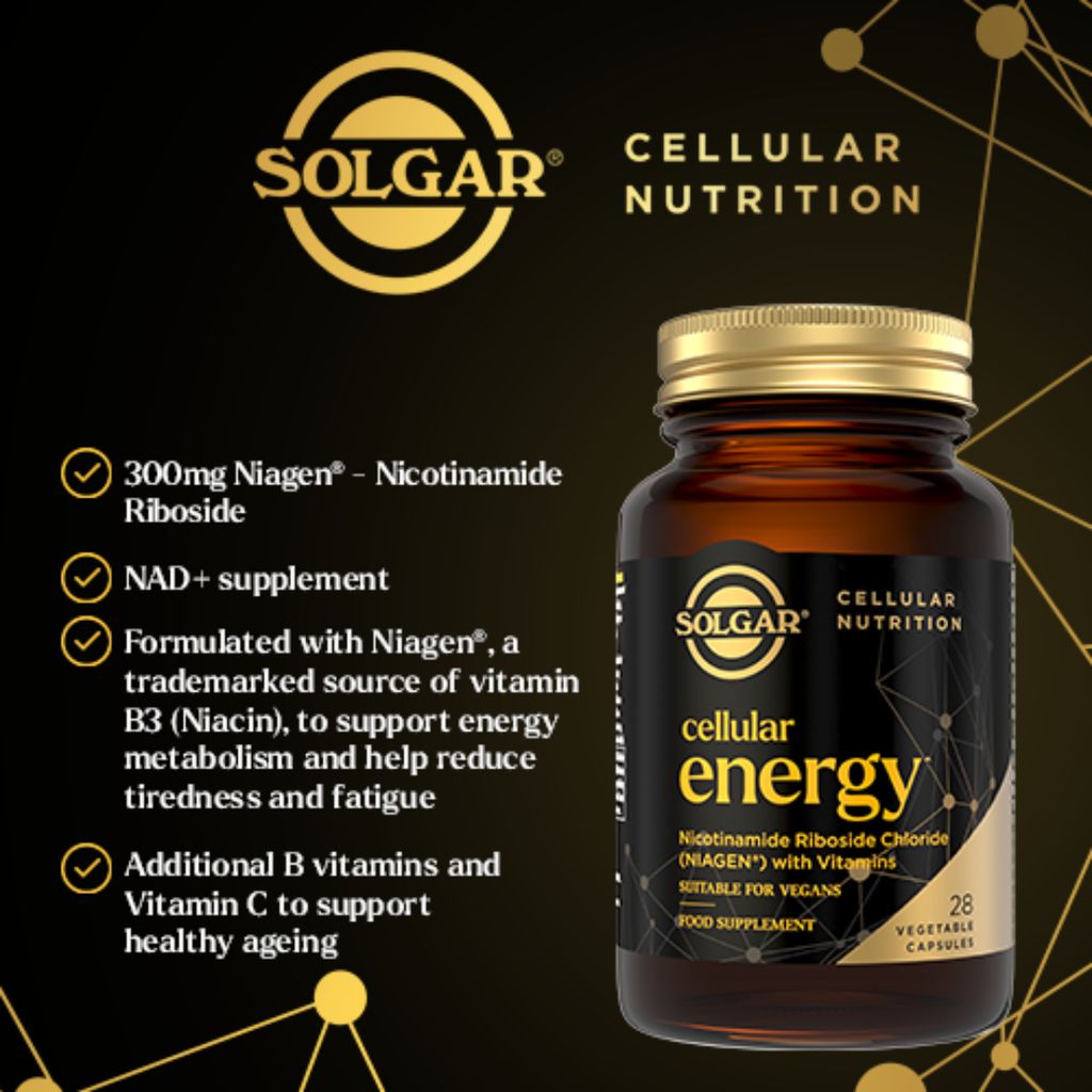 Cellular Energy - Image 3