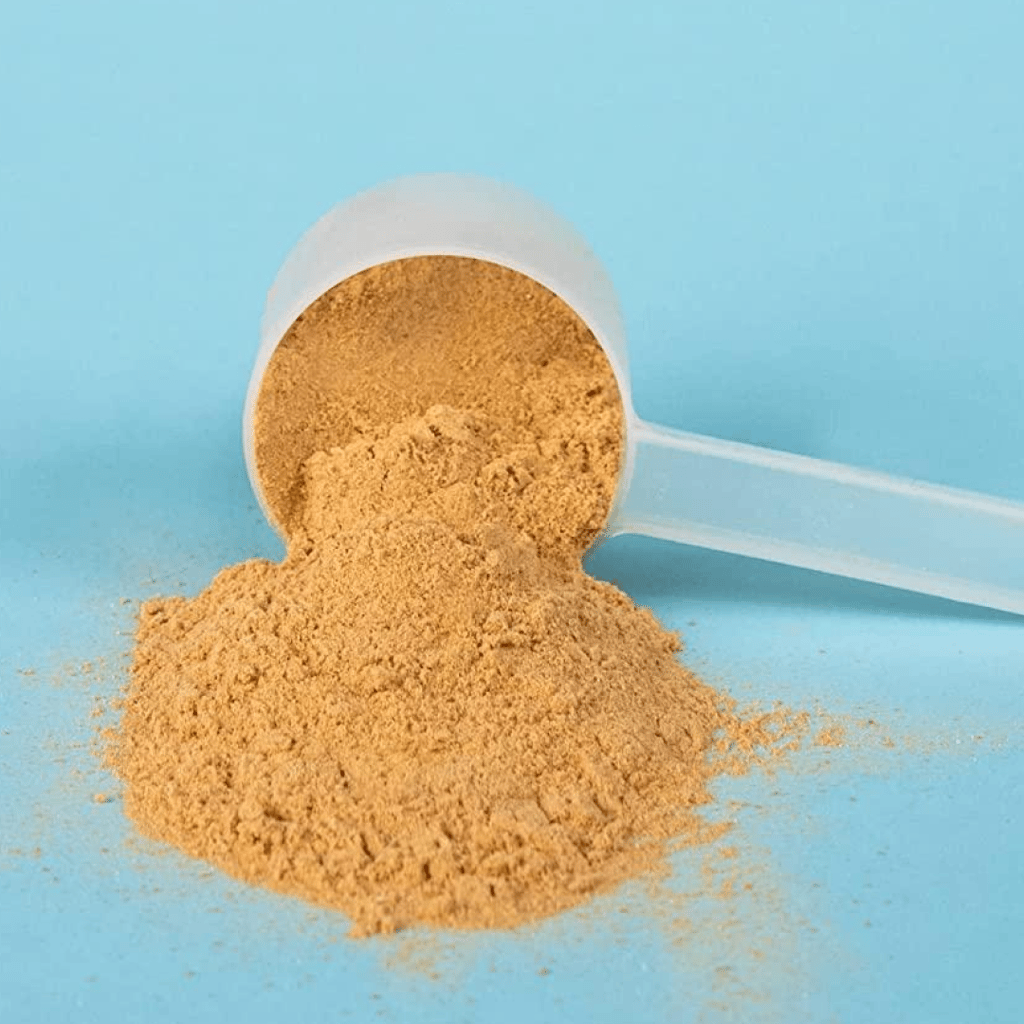 Bone Broth Protein - Salted Caramel - Image 6