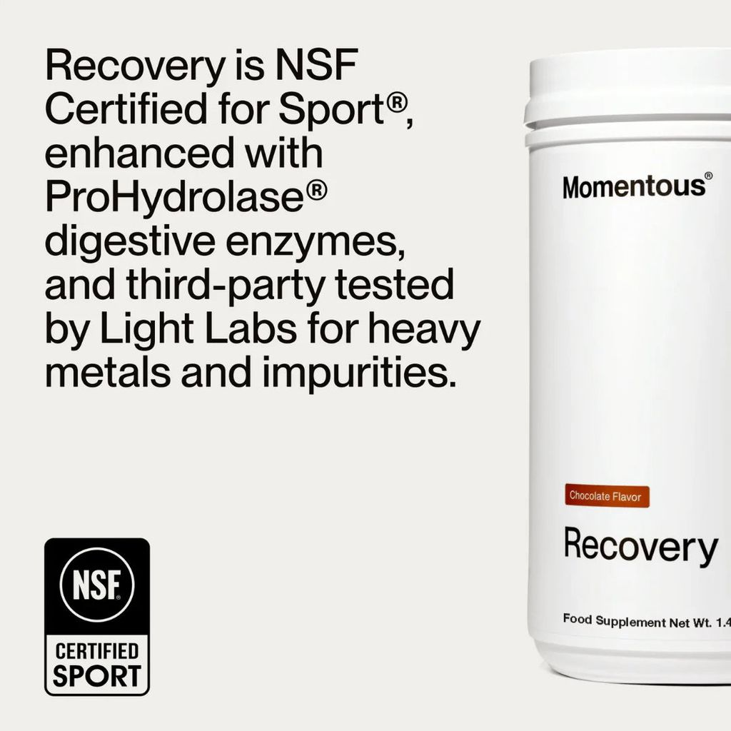 Recovery Grass-Fed Whey - Chocolate - Image 5